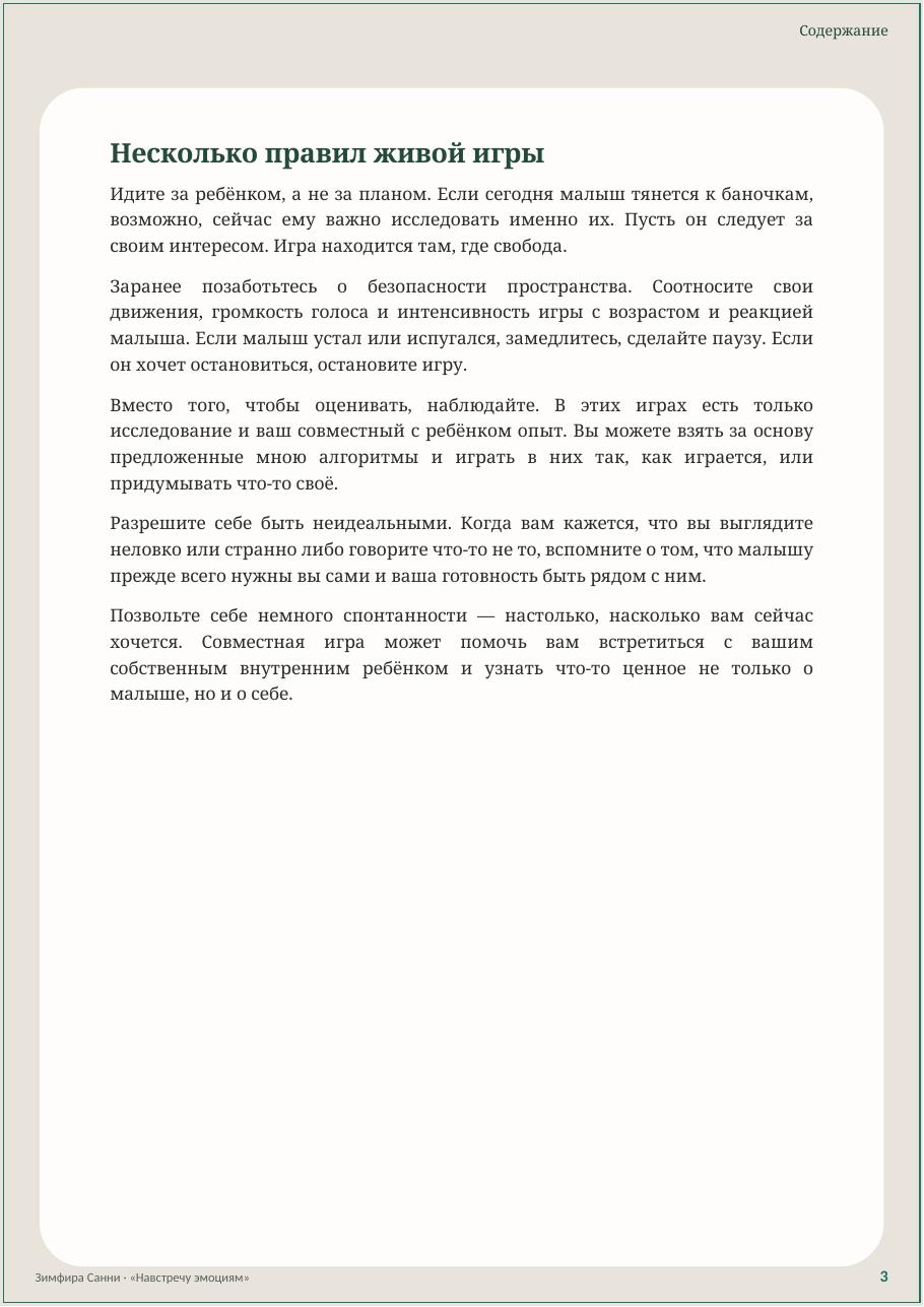 Пример страницы гайда с правилами живой игры